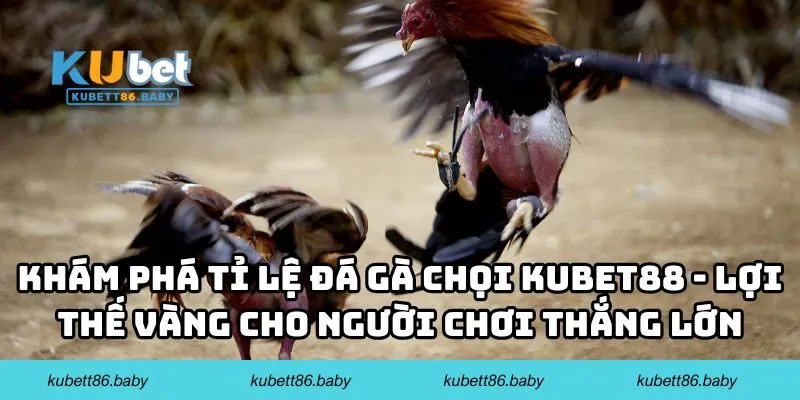 Tỉ Lệ Đá Gà Chọi